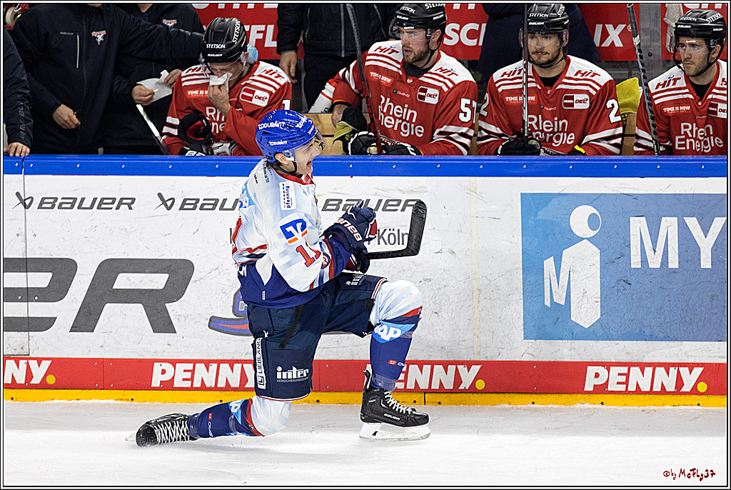 PENNY DEL - Viertelfinale;  Koelner Haie - Adler Mannheim; Koeln, 17.03.2023